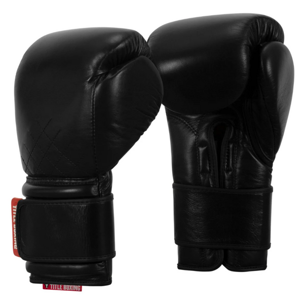 Боксерські рукавички TITLE Boxing KO-Vert Training TKV-bk-14 фото