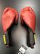 Боксерські рукавиці 1910 Advanced Boxing Gloves BGE-br12 фото 5